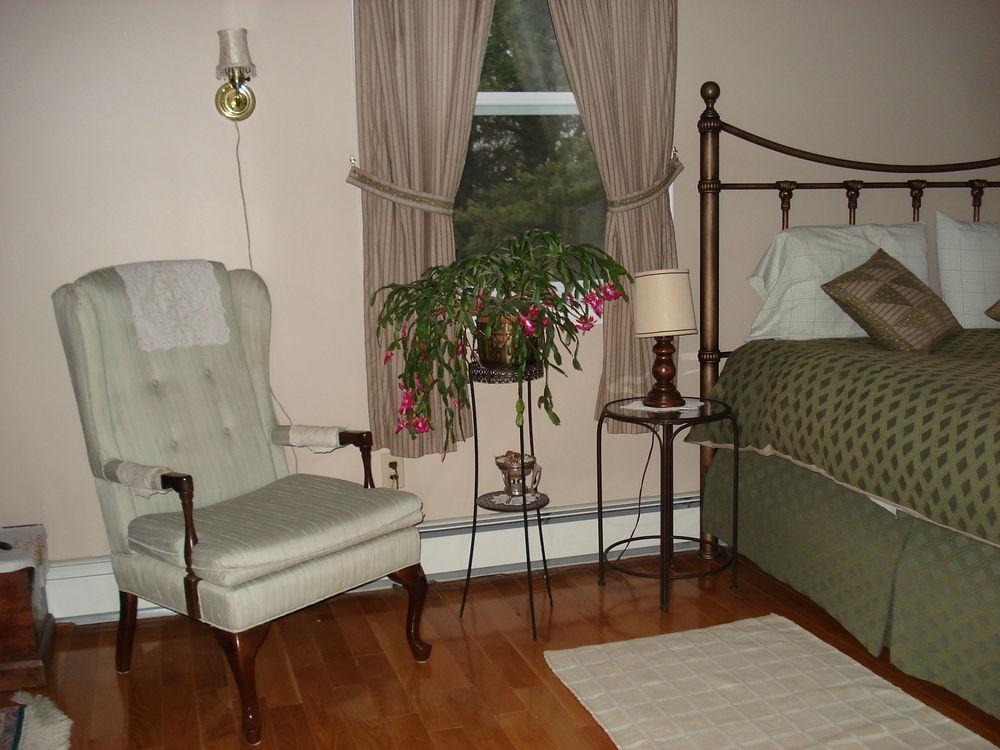 Tulips And Thistle B&B 特鲁罗 外观 照片